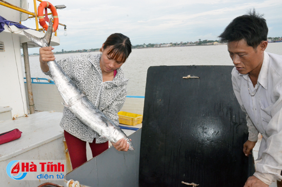 Đào tạo nghề vùng ảnh hưởng sự cố môi trường ở Hà Tĩnh: Nhiều tín hiệu khả quan!