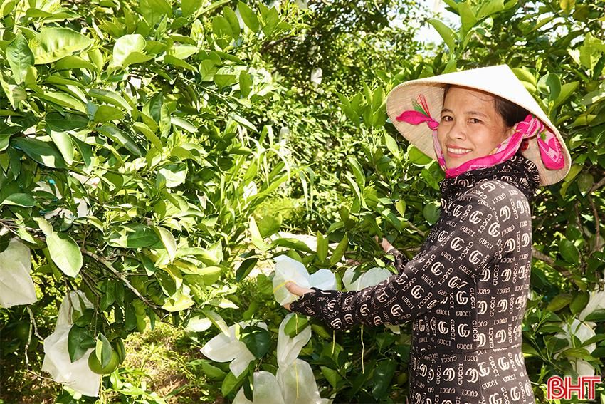 Hành trình “giảm nghèo, tăng khá và giàu bền vững” ở Đức Lĩnh