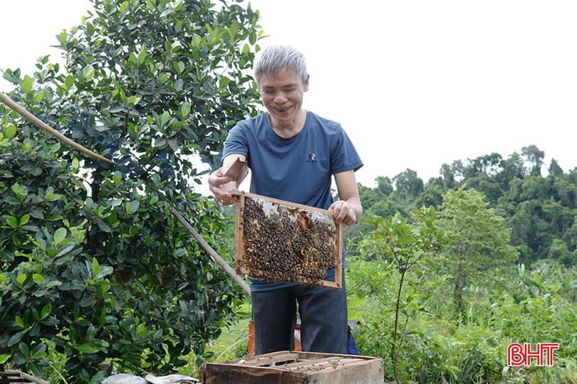 Người khiếm thị vượt qua “vùng tối”, xây dựng đời sống ấm no