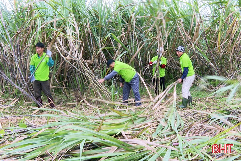 “Sân chơi” giúp nông dân Hương Khê nhân rộng các mô hình kinh tế