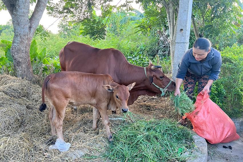 Nỗ lực đổi thay cuộc sống của phụ nữ nghèo vùng thượng Can Lộc